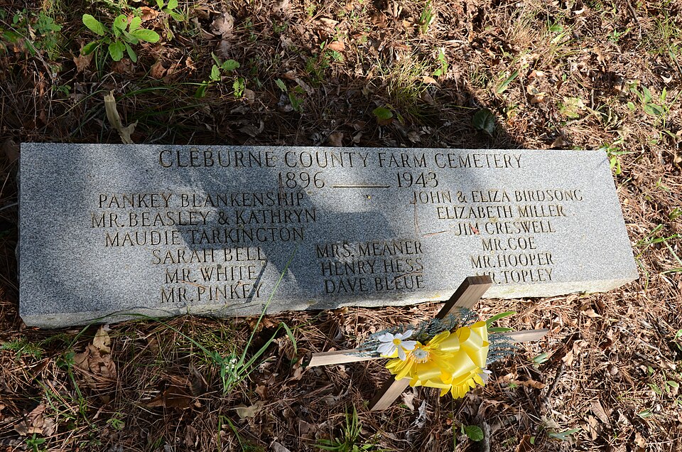 Photograph of Cleburne County Farm Cemetery