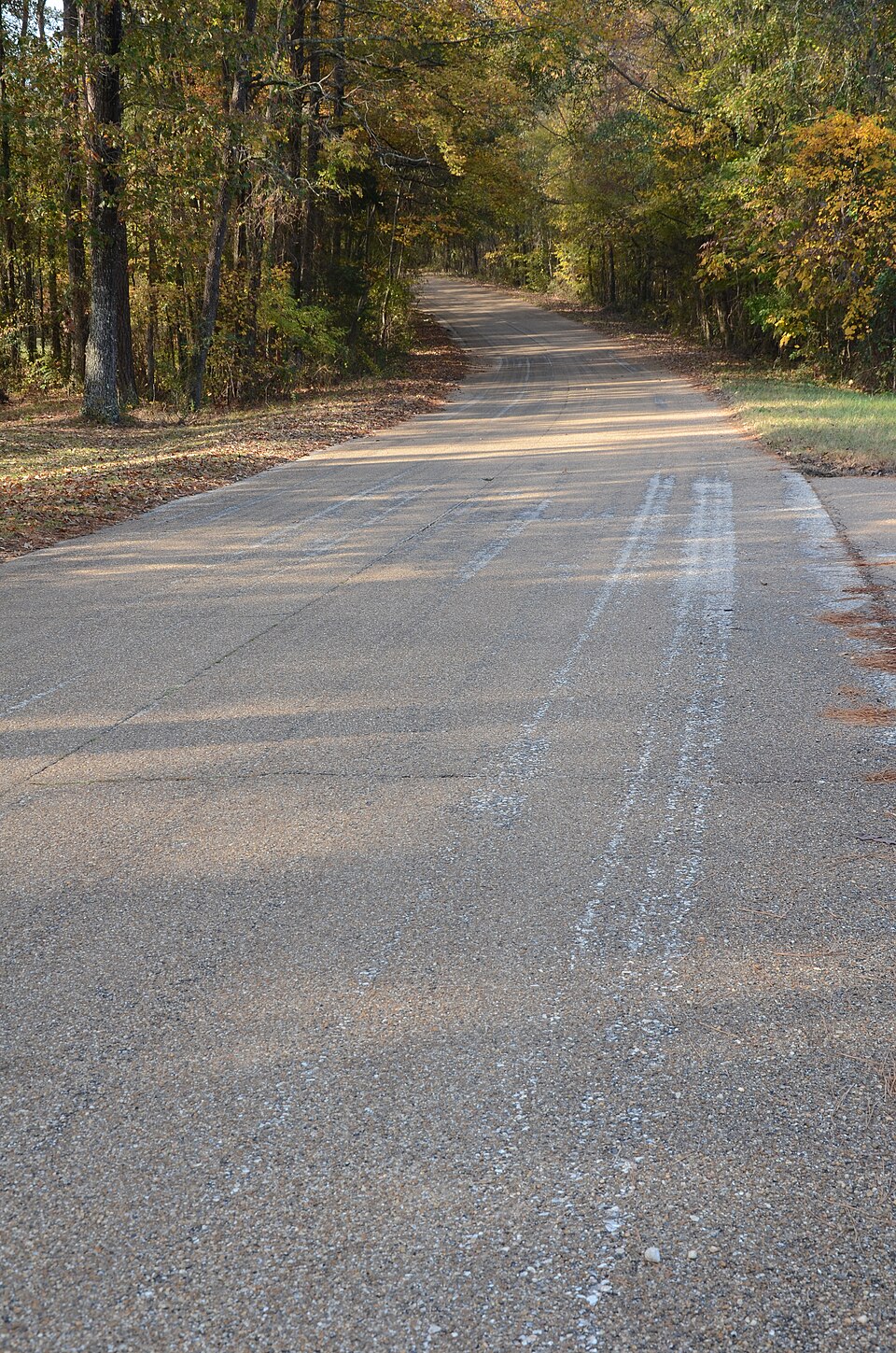 Photograph of Old US 79, Kingsland Segment