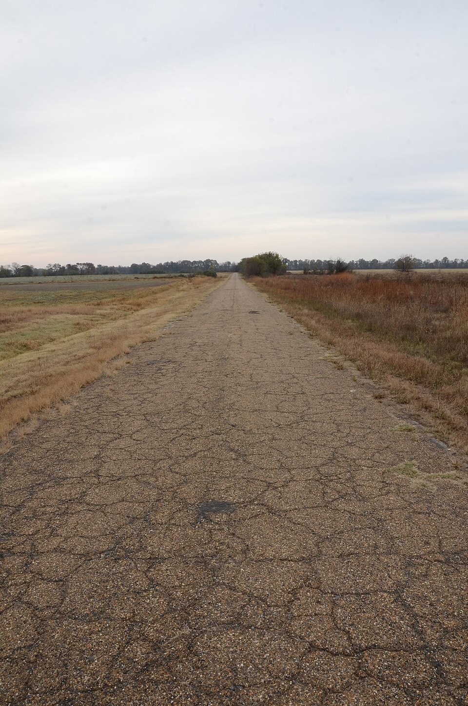 Photograph of Old Arkansas 11, Kauffman Road Segment