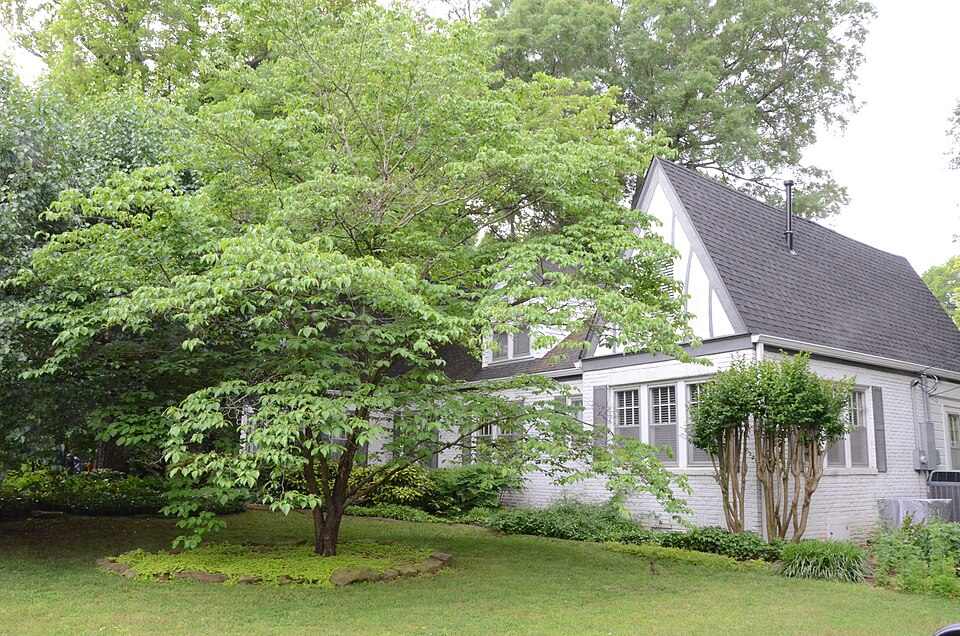 Photograph of Hendrix College Addition Neighborhood Historic District