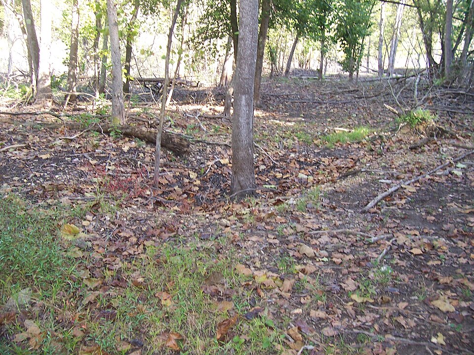 Photograph of Van Winkle's Mill Site