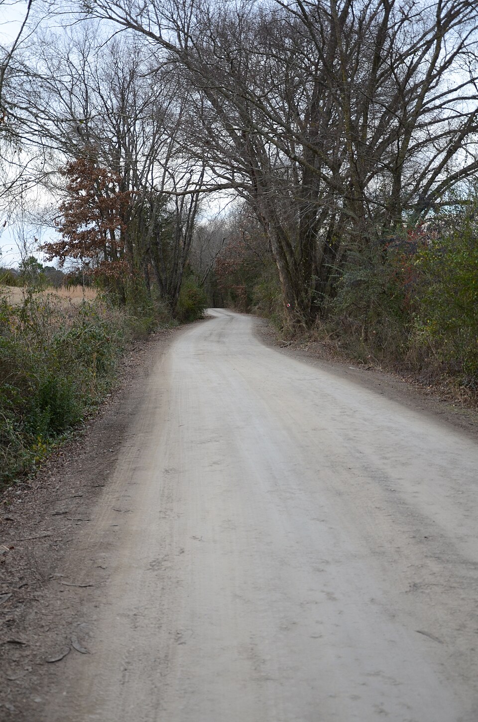 Photograph of Little Rock to Cantonment Gibson Road-Short Mountain Segment