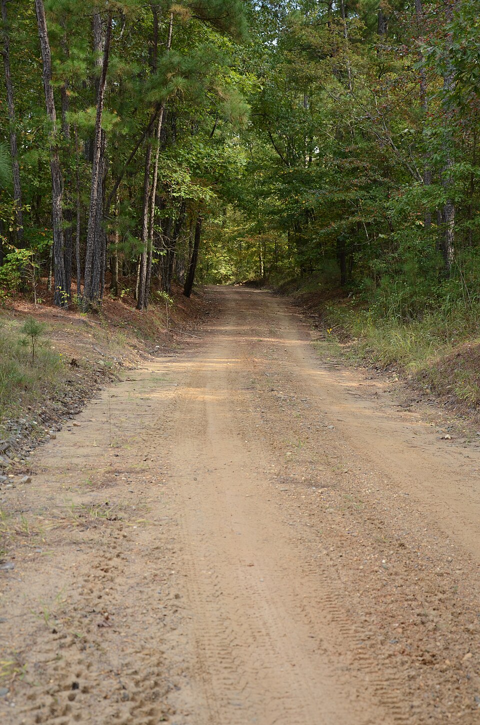 Photograph of Camden to Washington Road-Rosston Segment