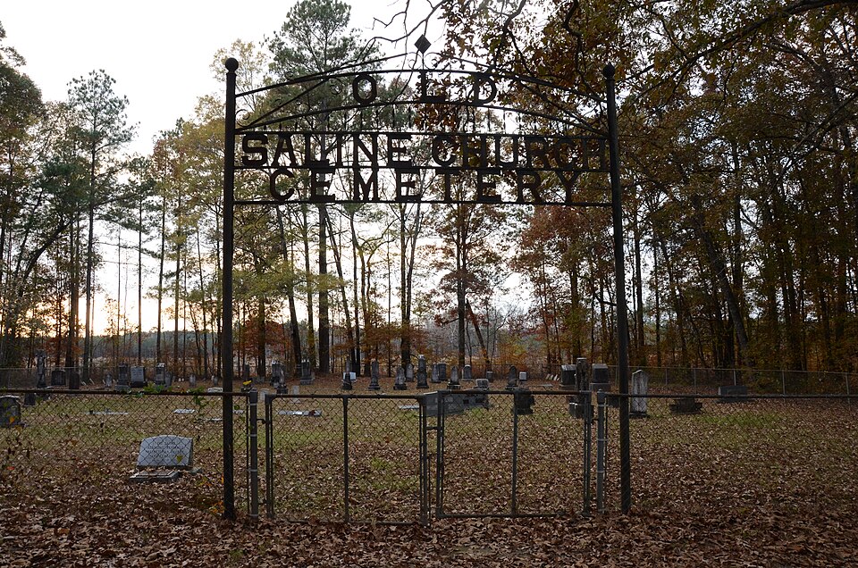Photograph of Saline Cemetery