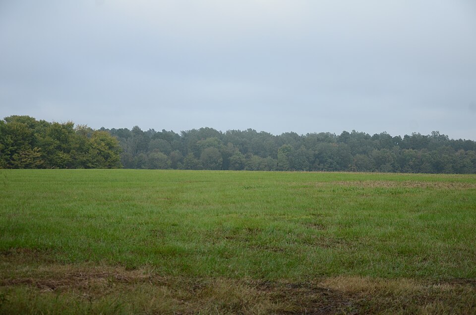 Photograph of Prairie D'Ane Battlefield