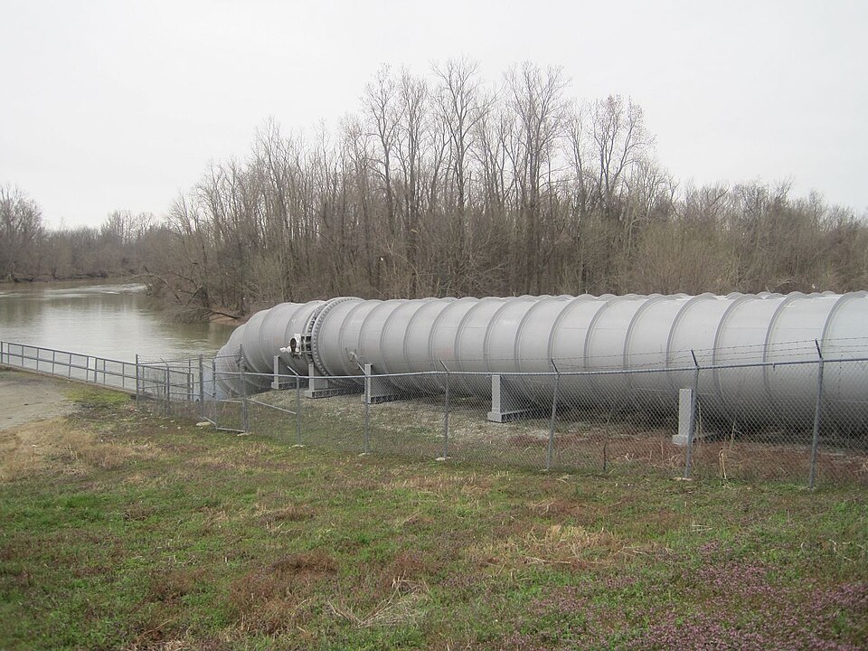 Photograph of Marked Tree Lock and Siphons