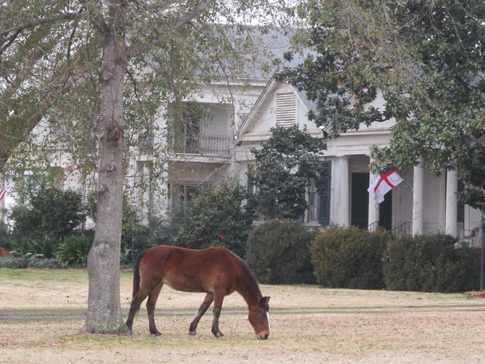 Photograph of Wynn-Price House