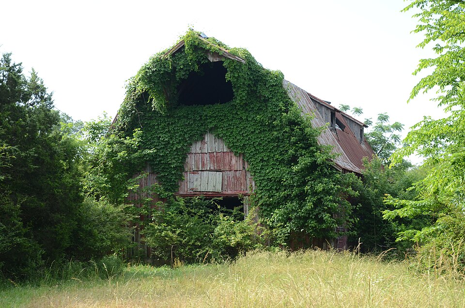 Photograph of Louis N. Hilger Homestead, Livestock Barn