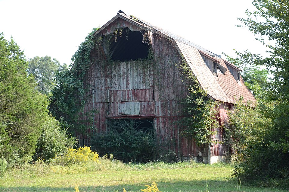 Photograph of Louis Gray Homestead, Barn