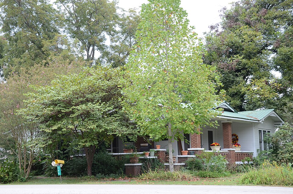 Photograph of Mills House