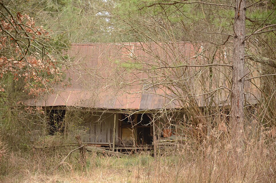 Photograph of Dr. Boaz House