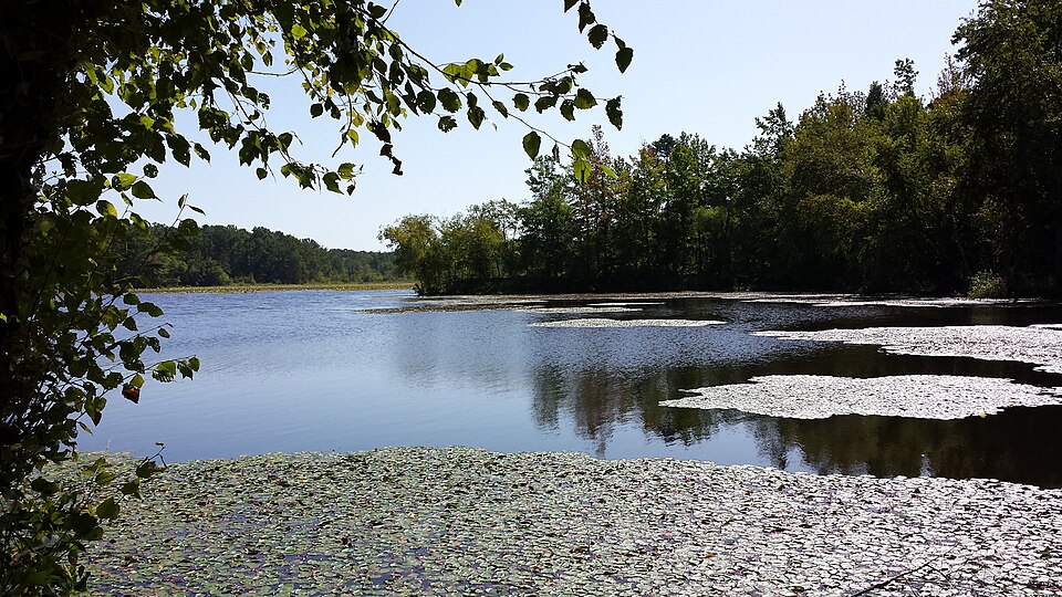 Photograph of Petit Jean State Park-Lake Bailey-Roosevelt Lake Historic District