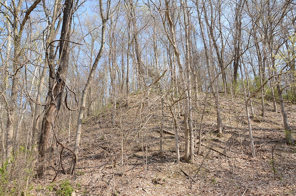 Photograph of Battery A Site, Battle of Helena
