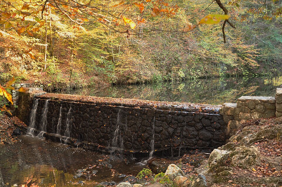 Photograph of Bard Springs Dam No. 1