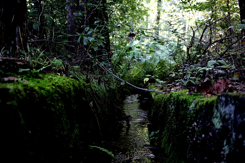 Photograph of Cold Spring