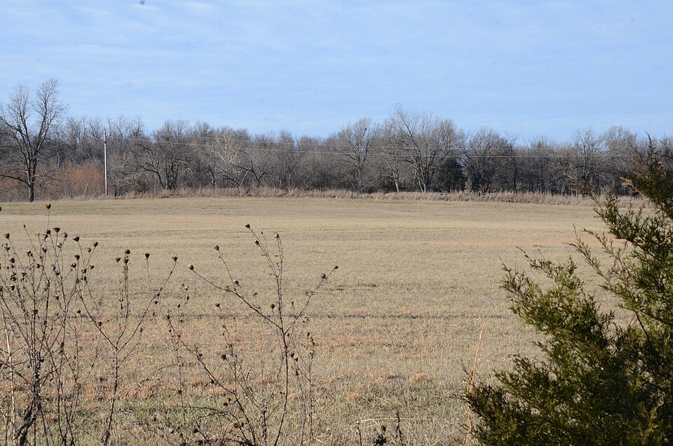 Photograph of Cane Hill Battlefield