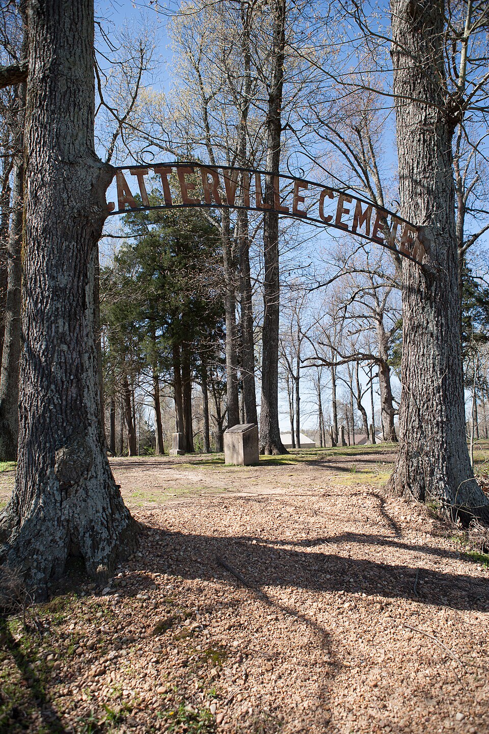 Photograph of Scatterville Cemetery