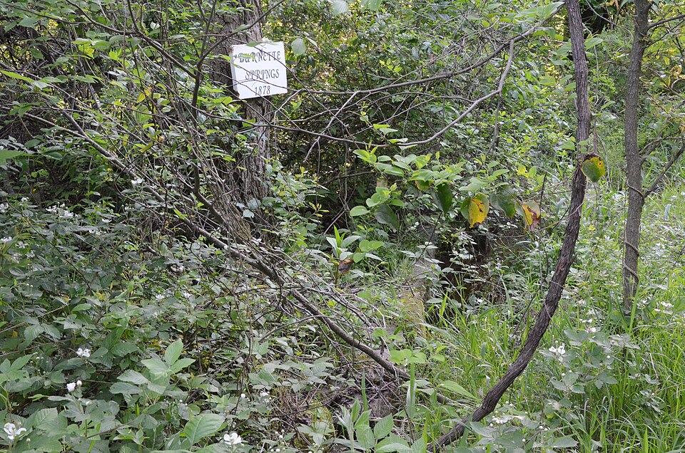 Photograph of Burnett Springs