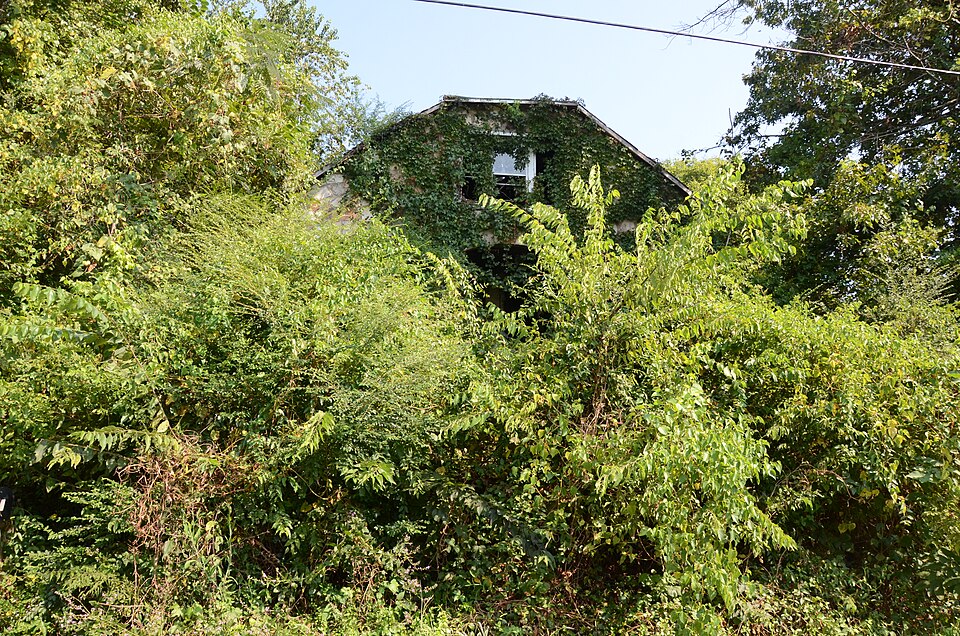 Photograph of Ernest Daugherty House