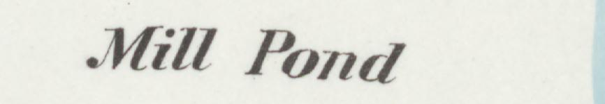 The line reading Mill Pond in the 1896 atlas index