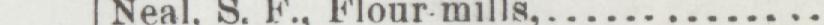 The index line reading Neal. S. r. Flour mills in the 1900 atlas