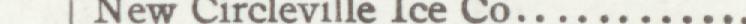 The line reading New Circeville ice co in the 1907 atlas index