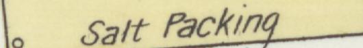 The line reading Salt Packing in the 1893 atlas index