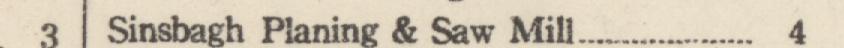 The line reading Sinsbagh Planing & Saw Mill in the 1922 atlas index