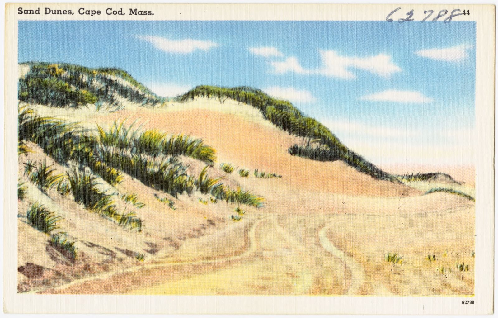 Sand dunes, Cape Cod, Mass., Boston Public Library - undated