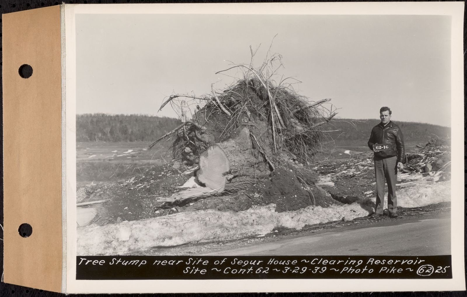 Contract No. 62, Clearing Lower Middle and East Branches, Quabbin Reservoir, Ware, New Salem, Petersham and Hardwick, tree stump near site of Segur house, Enfield and Ware, Mass., Mar. 29, 1939, Massachusetts Archives - undated