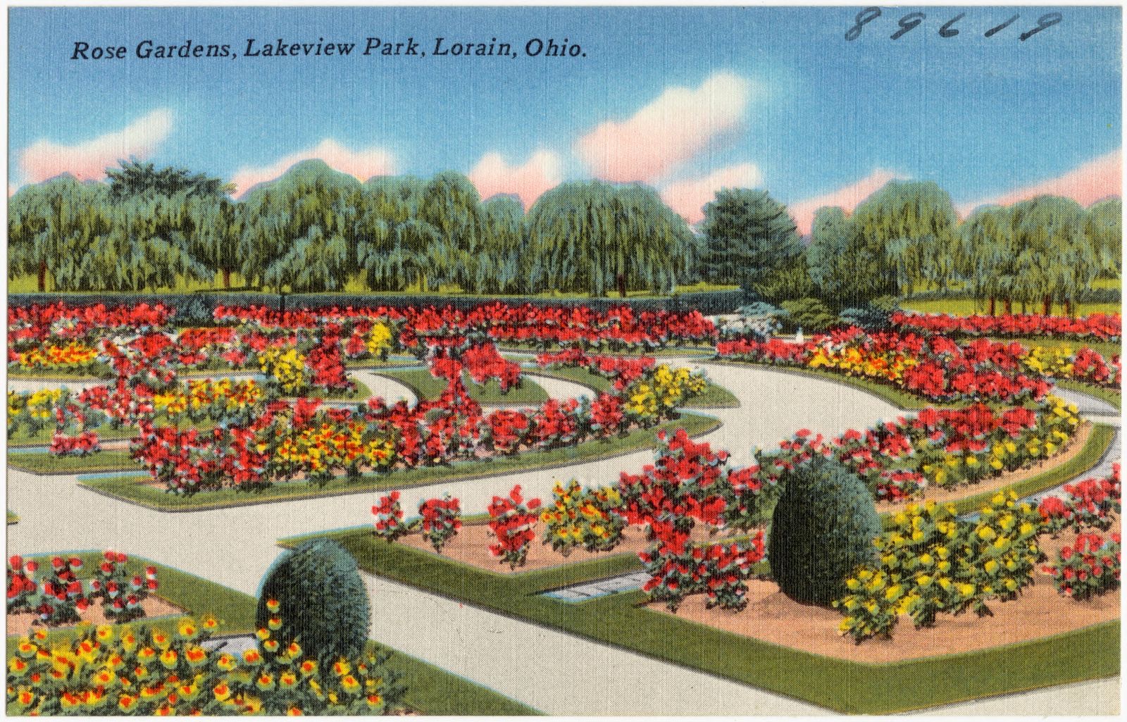 Rose gardens, Lakeview Park, Lorain, Ohio, Boston Public Library - undated