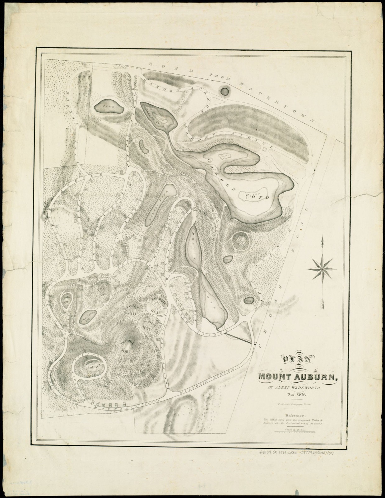 Plan of Mount Auburn, Boston Public Library - undated