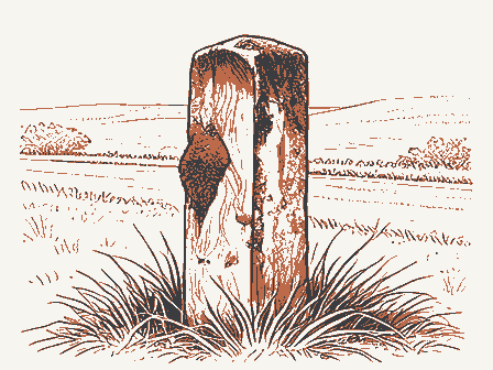 Decorative drawing: a weathered stone boundary post leaning slightly at a roadside, moss on its shoulder and.... Not a photograph of this place.