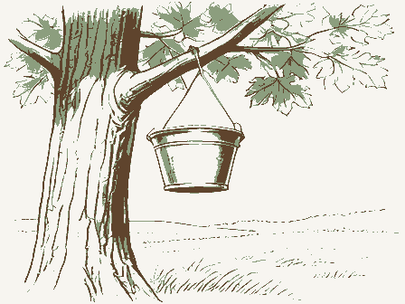 Decorative drawing: a sap bucket hanging on a maple trunk. Not a photograph of this place.