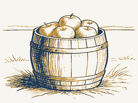 Decorative drawing: a barrel of apples with a wooden scoop. Not a photograph of this place.
