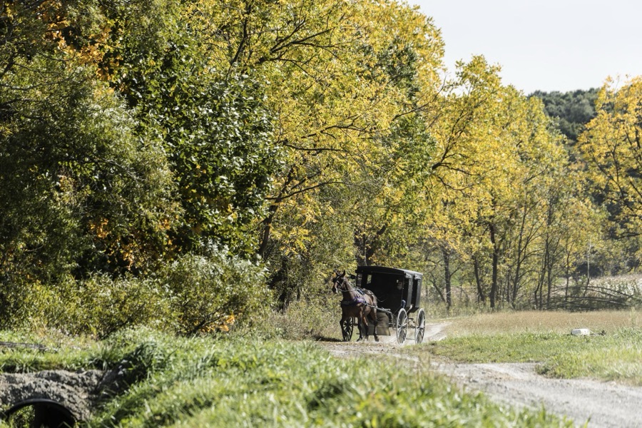 A horse-drawn Amish buggy journeys down a country road at Yoder's Amish Home, an authentic Amish farm that began accepting visitors in 1983 near Walnut Creek in central Ohio, along the "Amish Country Byway"