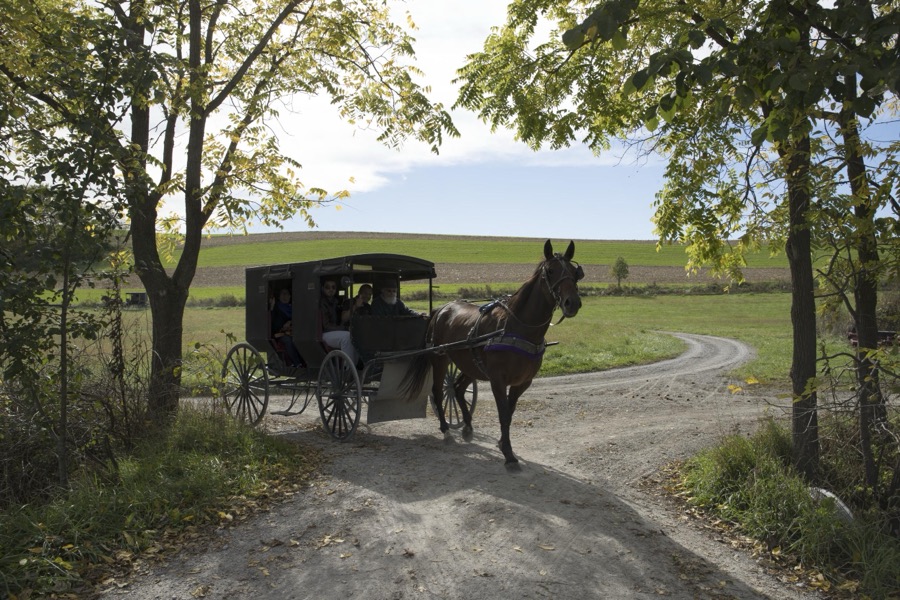 A horse-drawn Amish buggy journeys down a country road at Yoder's Amish Home, an authentic Amish farm that began accepting visitors in 1983 near Walnut Creek in central Ohio, along the "Amish Country Byway"