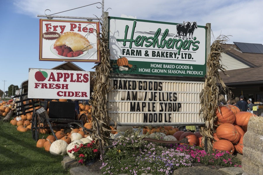 Fall display at Hershberger's Farm and Bakery, a greatly expanded produce stand near the town of Berlin in central Ohio's "Amish Country"