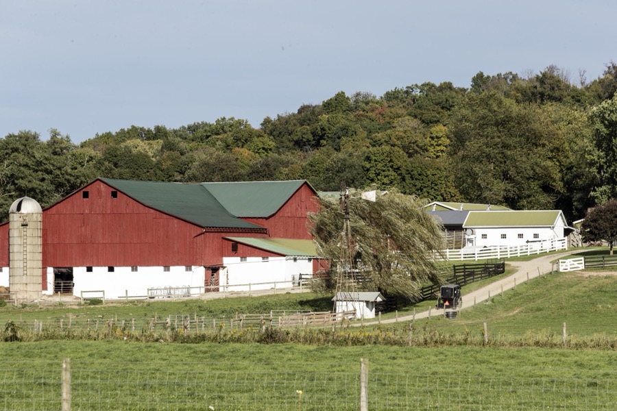 A horse-drawn Amish buggy heads up the hill to the large farmstead at Hershberger's Farm and Bakery, a greatly expanded produce stand near the town of Berlin in central Ohio's "Amish Country"