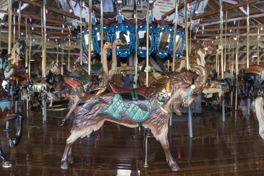The carousel, or merry-go-round, at Richland Carrousel Park opened in 1991 in downtown Mansfield, Ohio