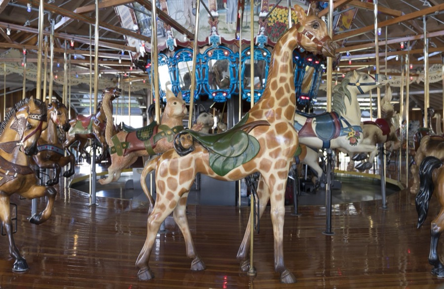 The carousel, or merry-go-round, at Richland Carrousel Park opened in 1991 in downtown Mansfield, Ohio