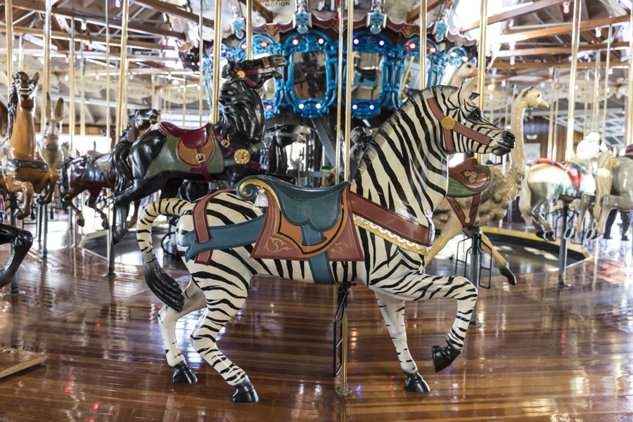 The carousel, or merry-go-round, at Richland Carrousel Park opened in 1991 in downtown Mansfield, Ohio