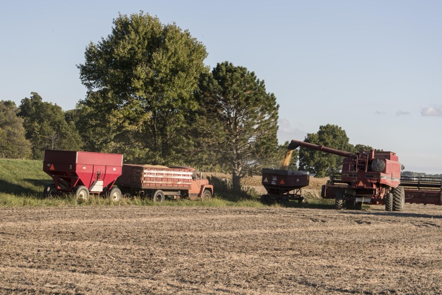 Autumn soybean-harvesting time in Crawford County, Ohio, near Bucyrus