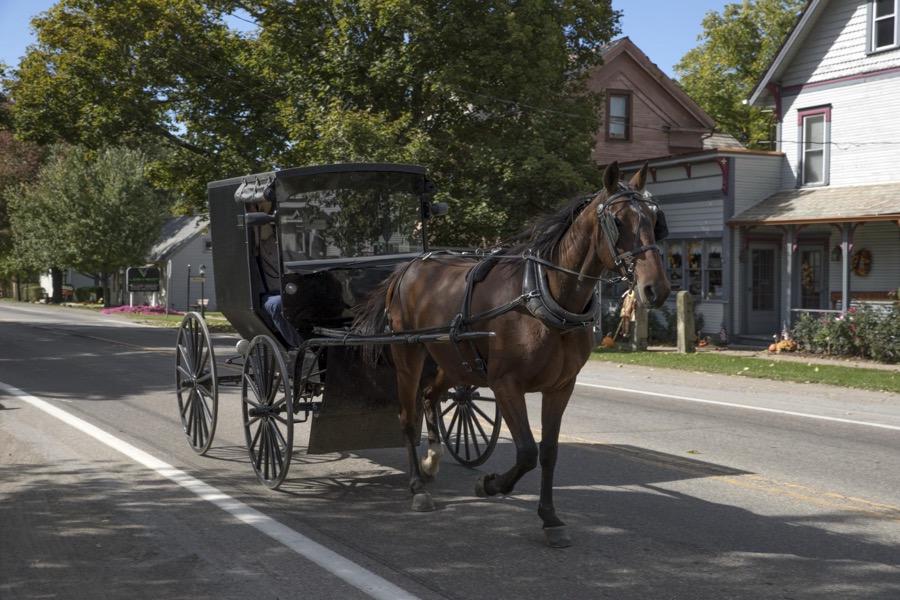 An Amish horse, buggy, and riders roll through Winesburg, Ohio