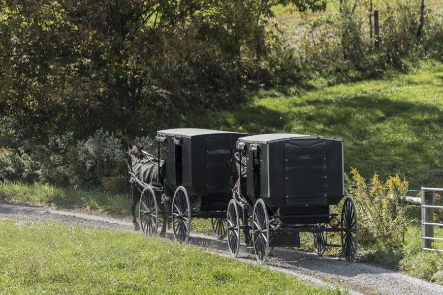Amish horses, buggies, and their riders clip-clop down a country road in Holmes County, Ohio, near Walnut Creek