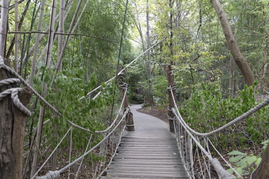 Rope and plank footbridge at the Cincinnati Zoo and Botanical Garden, America's second-oldest zoo, in Cincinnati, Ohio