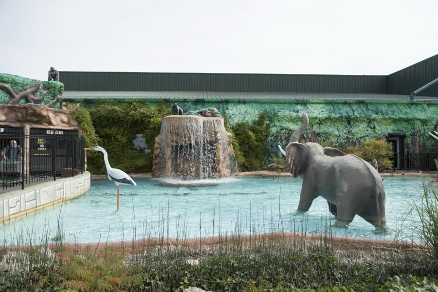 This is neither a zoo nor a water park, but it's Jungle Jim's International Market in the Cincinnati suburb of Fairfield, Ohio