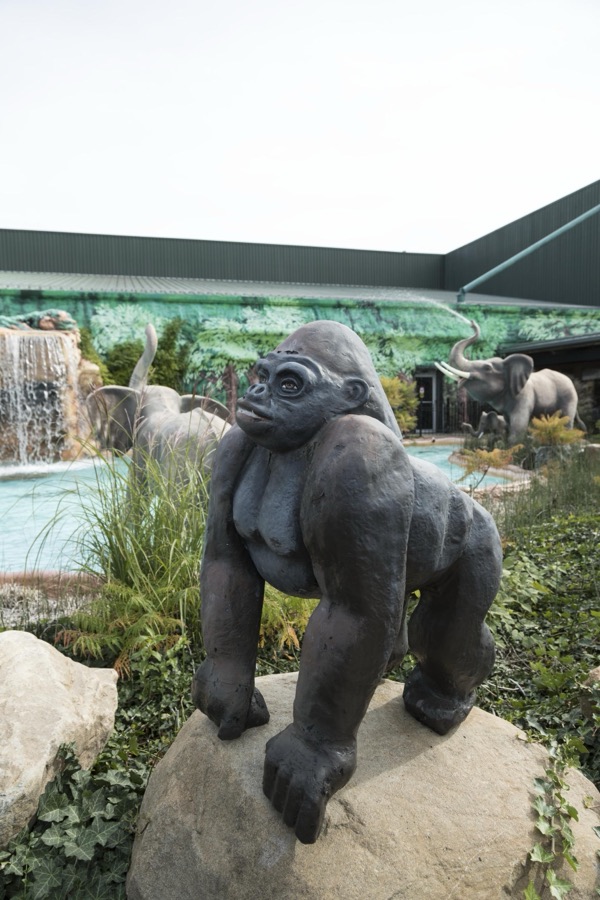 This is neither a zoo nor a water park, but it's Jungle Jim's International Market in the Cincinnati suburb of Fairfield, Ohio