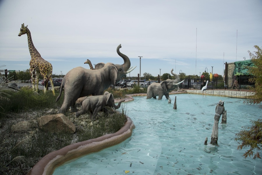 This is neither a zoo nor a water park, but it's Jungle Jim's International Market in the Cincinnati suburb of Fairfield, Ohio