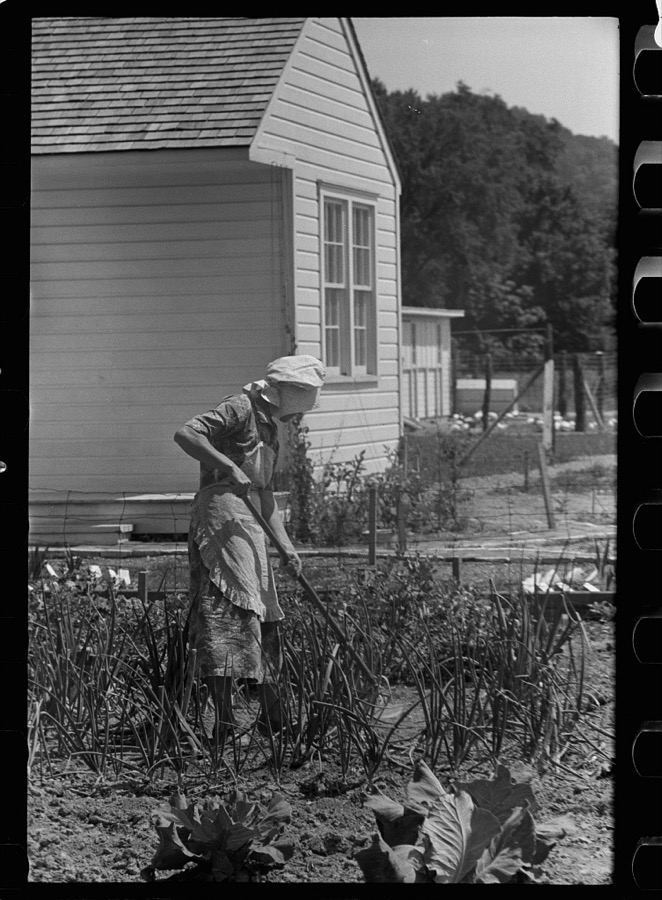 Wife of homesteader in garden, Scioto Farms, Ohio